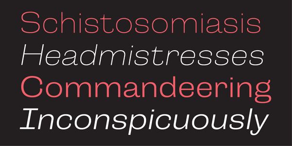 Card displaying Campaign typeface in various styles