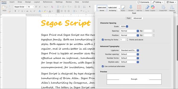 Card displaying Segoe Script typeface in various styles