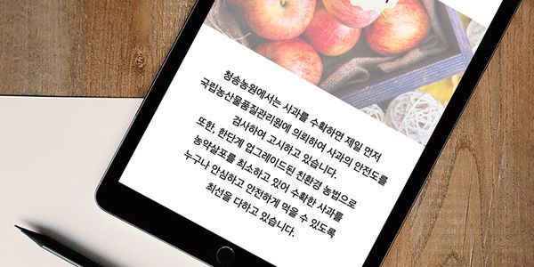 Card displaying 210 MGothic typeface in various styles