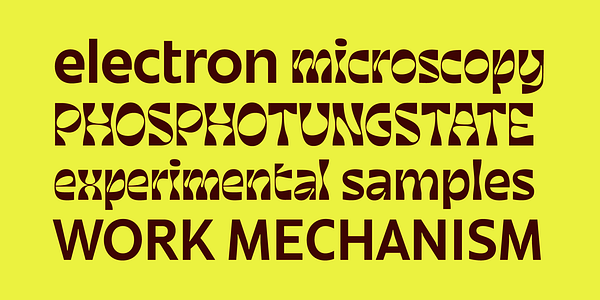 Card displaying June Expt Variable typeface in various styles