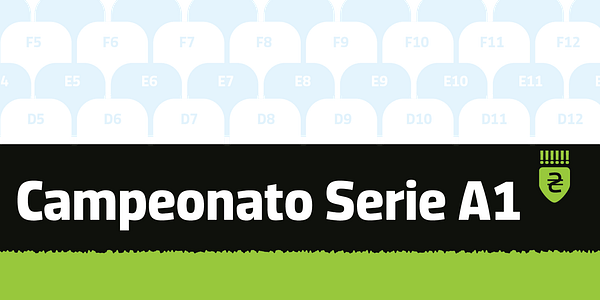 Card displaying Dic Sans typeface in various styles