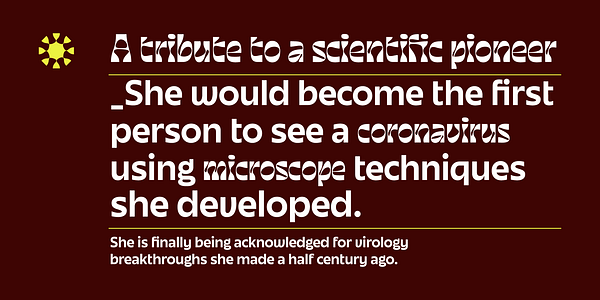 Card displaying June Expt Variable typeface in various styles