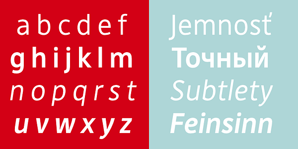 Card displaying DejaRip typeface in various styles