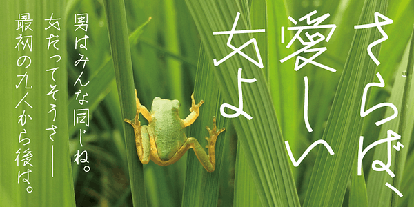 Card displaying AB Seiryu Light typeface in various styles