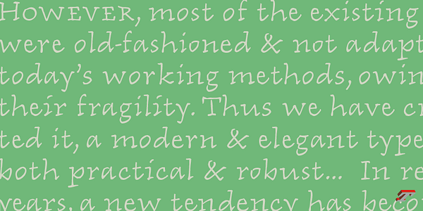 Card displaying Zingiber typeface in various styles