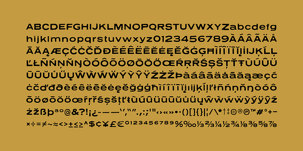 Card displaying Neuzon typeface in various styles