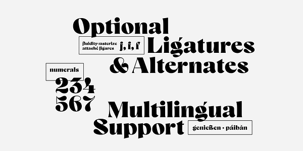 Card displaying Mezzotint CF typeface in various styles