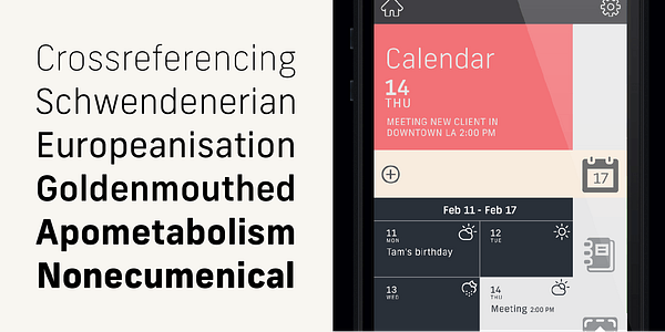 Card displaying New Frank typeface in various styles