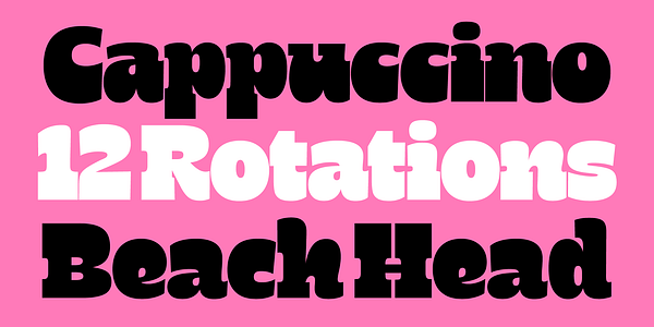 Card displaying Zeplin Variable typeface in various styles