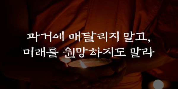 Card displaying ZW Jijanggyeongeonhae typeface in various styles