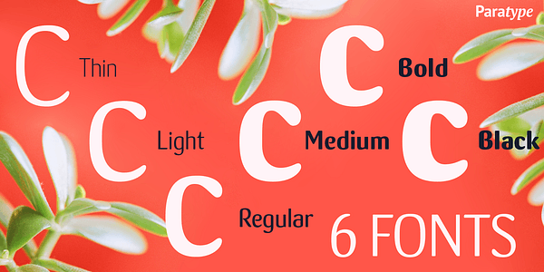 Card displaying Crassula typeface in various styles