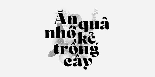 Card displaying Mezzotint CF typeface in various styles