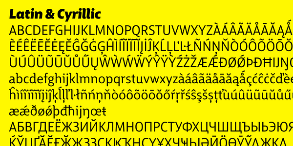 Card displaying Big City Grotesque typeface in various styles