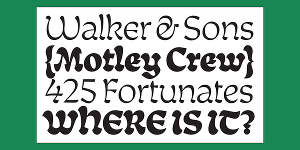 Card displaying Tumba Text Variable typeface in various styles