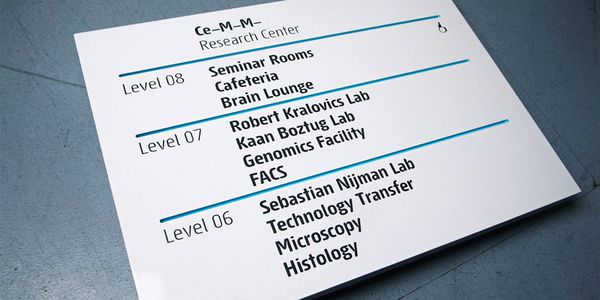 Card displaying Sys typeface in various styles