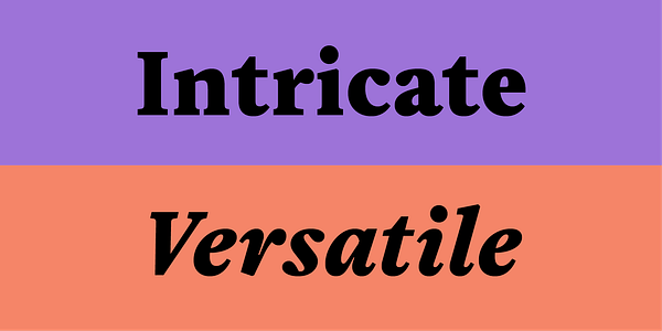 Card displaying Tiffin Latin Variable typeface in various styles