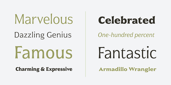 Card displaying Civane typeface in various styles