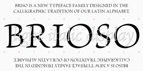 Card displaying Brioso typeface in various styles