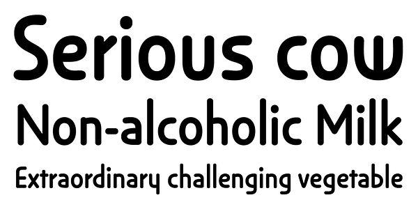 Card displaying Anca typeface in various styles