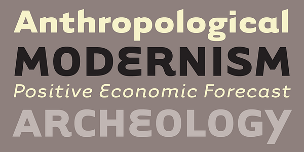 Card displaying Tarzana typeface in various styles