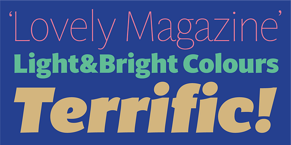 Card displaying Multi Text typeface in various styles