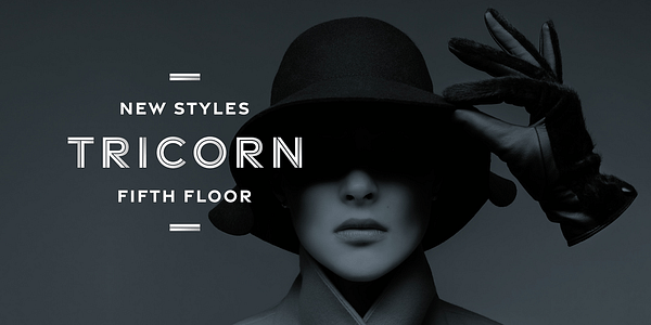 Card displaying Gravesend Sans typeface in various styles