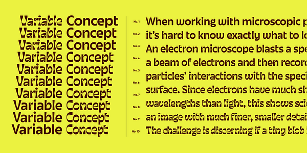 Card displaying June Expt Variable typeface in various styles
