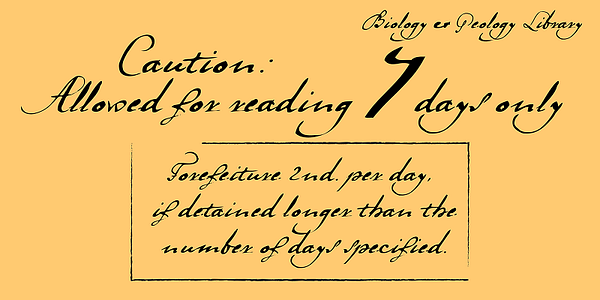 Card displaying LaDanse typeface in various styles