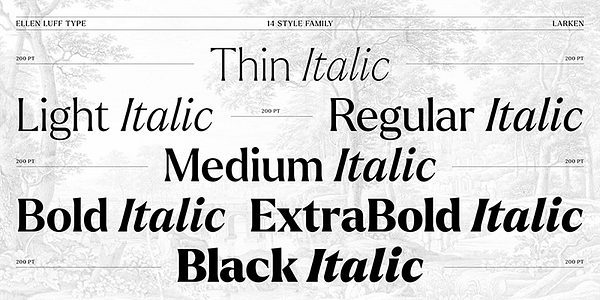 Card displaying Larken typeface in various styles
