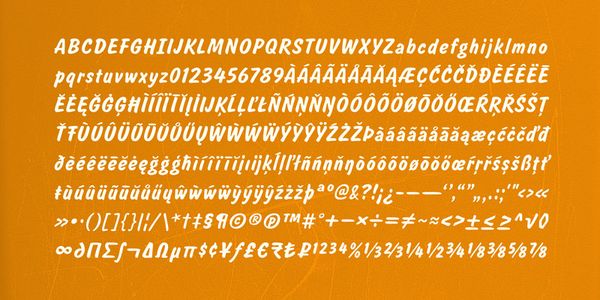 Card displaying Salsbury typeface in various styles