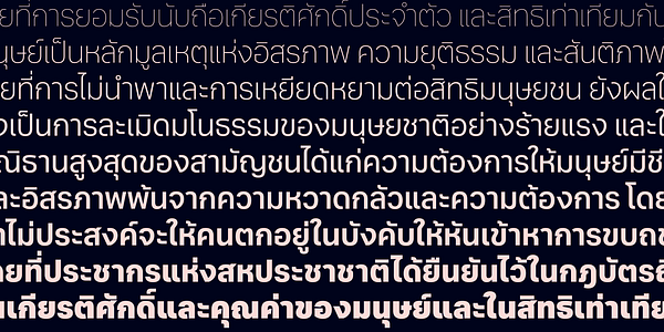 Card displaying Aktiv Grotesk Thai typeface in various styles