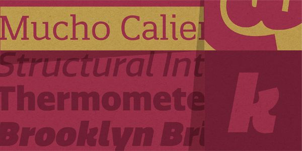 Card displaying Quatro Slab typeface in various styles