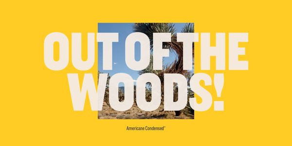 Card displaying Americane typeface in various styles