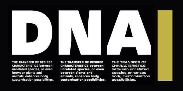 Card displaying Quagmire typeface in various styles
