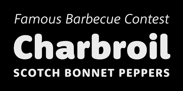 Card displaying Rooney Sans typeface in various styles