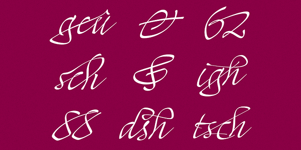 Card displaying Mayence typeface in various styles