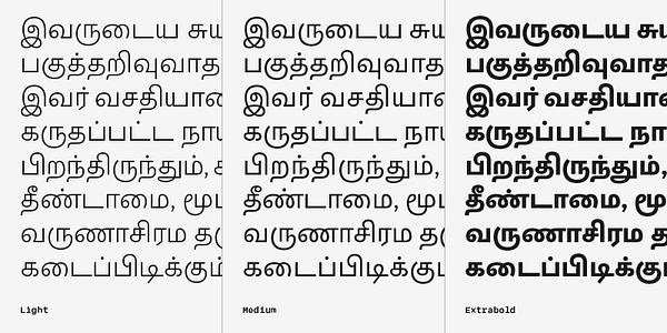 Card displaying Adapter Tamil Text typeface in various styles