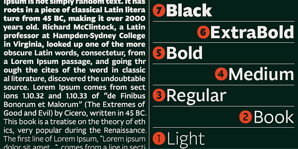 Card displaying Fagun typeface in various styles