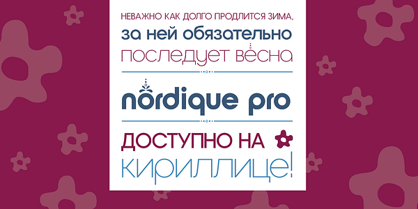 Card displaying Nordique Pro Cyrillic typeface in various styles
