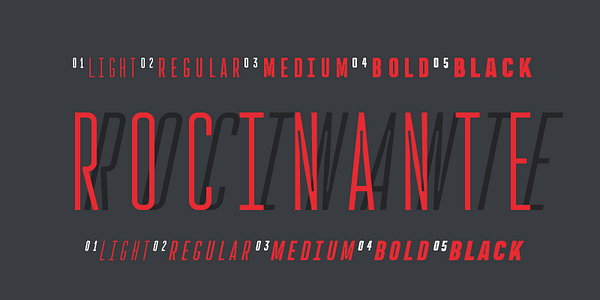 Card displaying Rocinante Titling Variable typeface in various styles