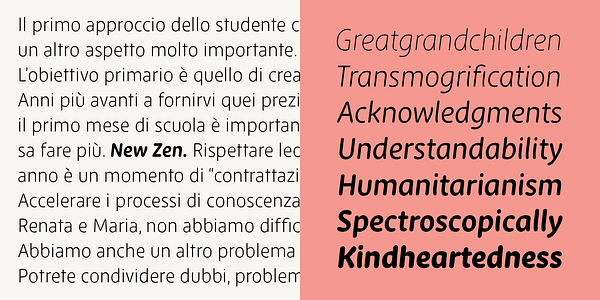 Card displaying New Zen typeface in various styles