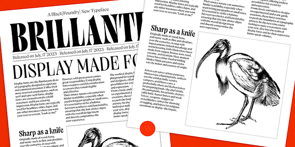 Card displaying Brillante Variable typeface in various styles