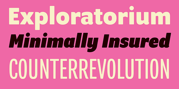 Card displaying Program typeface in various styles