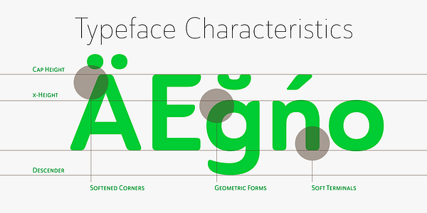 Card displaying Ainslie Sans typeface in various styles