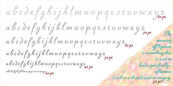 Card displaying MVB Chanson d'Amour typeface in various styles