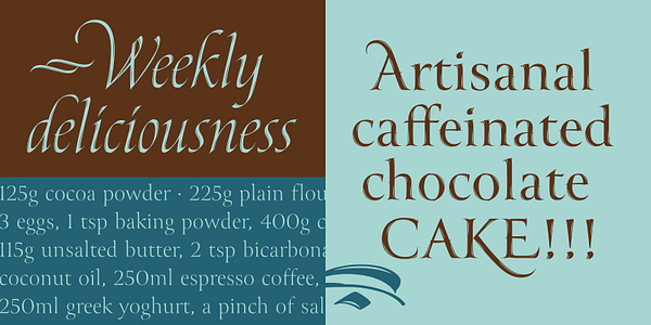 Card displaying Canto typeface in various styles