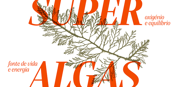 Card displaying Alga Variable typeface in various styles