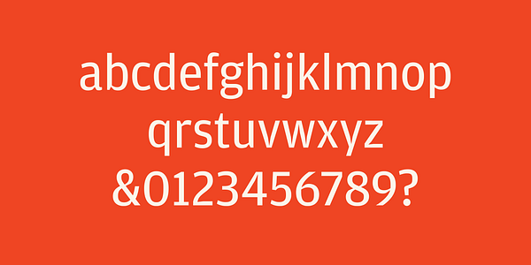 Card displaying Amplitude typeface in various styles