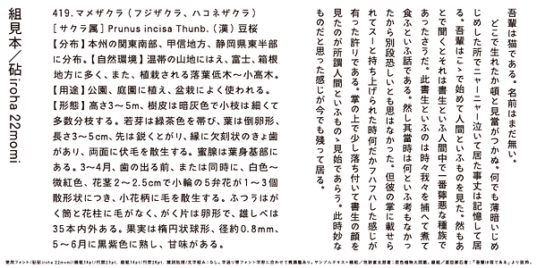 Card displaying Kinuta iroha 22momi StdN typeface in various styles