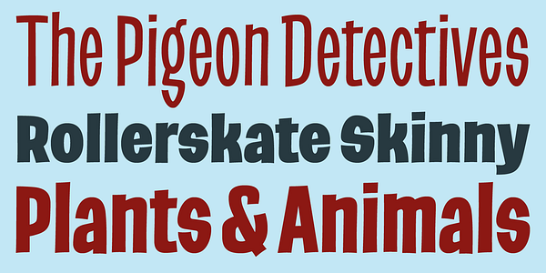 Card displaying Barbieri typeface in various styles